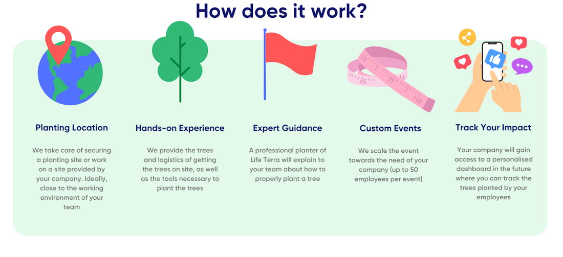 Hoe werkt het: locatie regelen, bomen en gereedschap aanleveren, begeleiding door een Life Terra-planter, evenementen op maat voor tot 50 medewerkers, en een dashboard om de impact van je team te volgen.